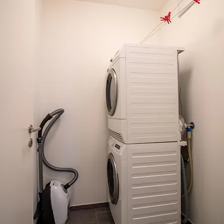 Planta Rosa By アローザ