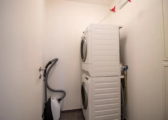 Planta Rosa By Arosa